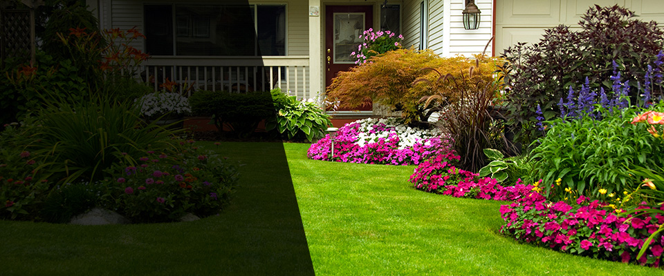 West Sacramento Landscapers