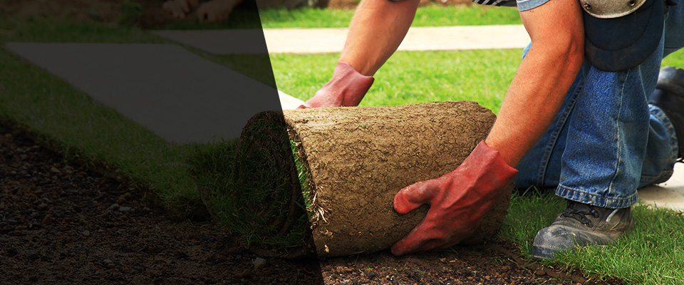 West Sacramento Landscapers